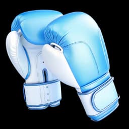 Perspire TV, category Boxing image